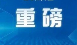 大湾区媒体爆料案例最新,揭秘新闻背后的真相与挑战