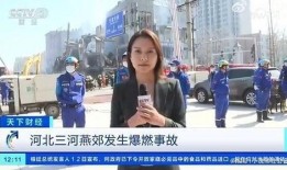 虎门记者爆料视频最新,揭秘事件背后惊人真相