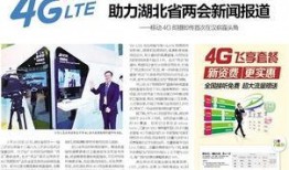 湖北网友爆料新闻报道内容